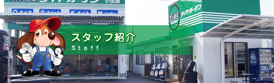 スタッフ紹介 | 小田原でタイヤ交換、車検、自動車修理のことなら「タイヤガーデン」